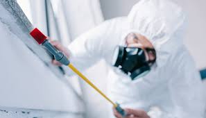 Pest Control for Hotels in Big Beaver, PA